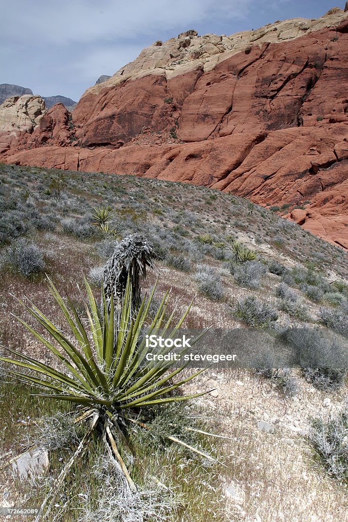 Red Rock Canyon  Arid Climate Stock Photo