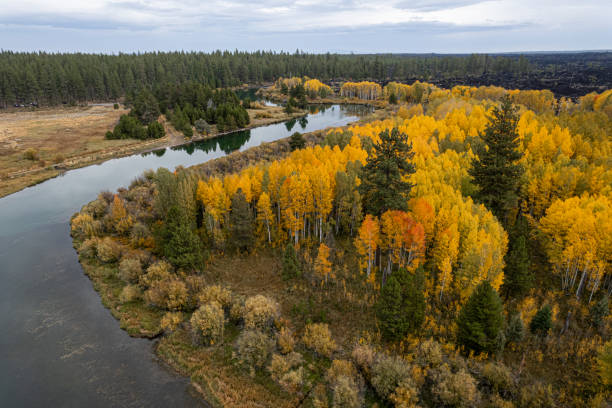 istock Deschutes River in autumn - A Drone View 1726623008