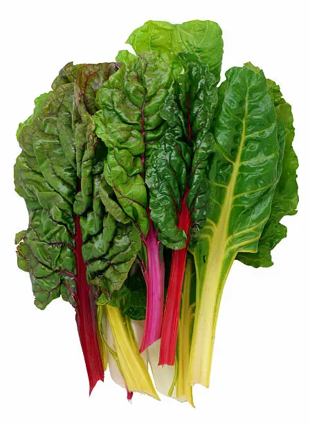 A bunch of rainbow Swiss chard, isolated on white.