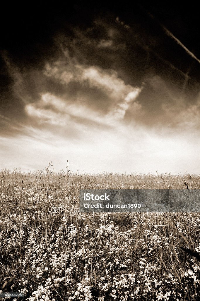 Tierras de labrantío sepia - Foto de stock de Abierto libre de derechos