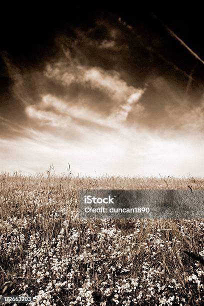 Tierras De Labrantío Sepia Foto de stock y más banco de imágenes de Abierto - Abierto, Agricultura, Aislado