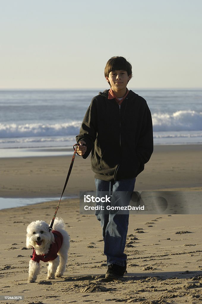 Menino na praia com o cão - Royalty-free Alegria Foto de stock