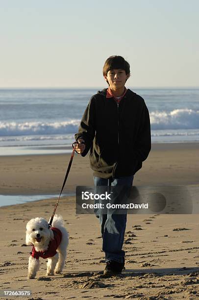 Menino Na Praia Com O Cão - Fotografias de stock e mais imagens de Alegria - Alegria, Andar, Animal de Estimação