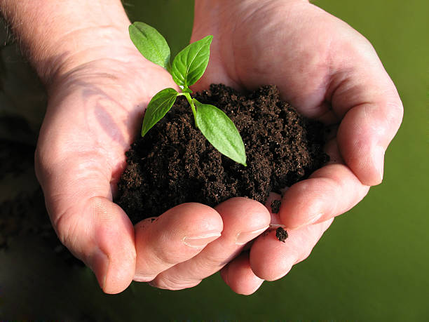 istock Pushing out of hands 172664489