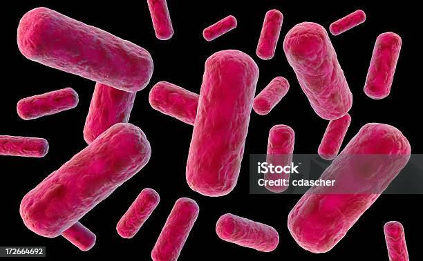 Batteri - Fotografie stock e altre immagini di Batterio - Batterio, Micrografia elettronica a scansione, Antibiotico