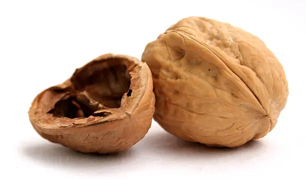 Details of empty walnut shell and walnut