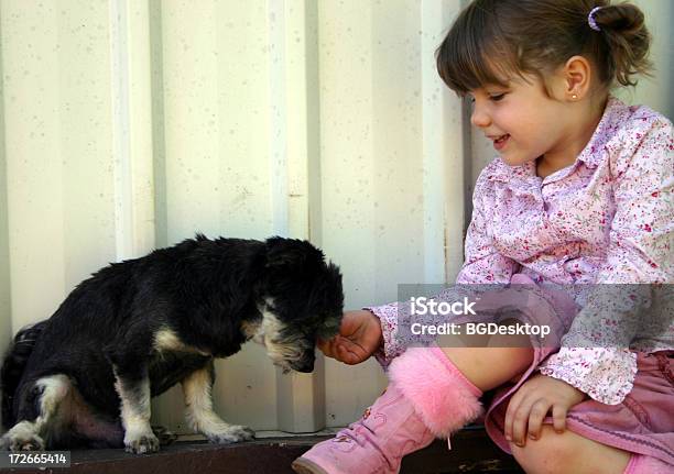 Melhores Amigos - Fotografias de stock e mais imagens de Amizade - Amizade, Amor, Animal