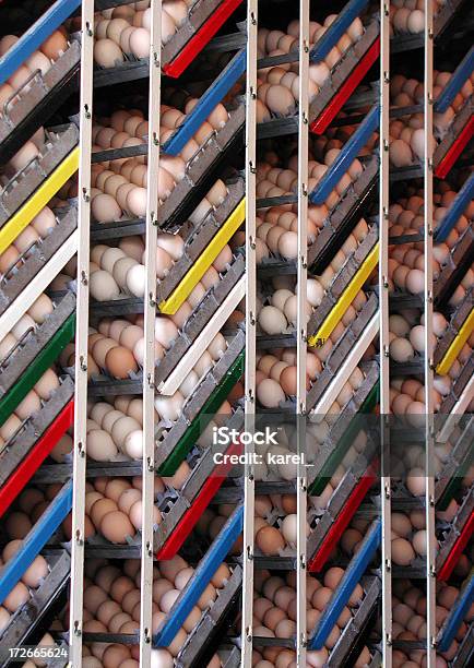 Huevos I Foto de stock y más banco de imágenes de Agricultura - Agricultura, Comidas y bebidas, Fila - Arreglo