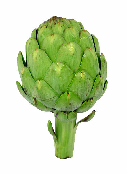 artichoke "A whole artichoke, isolated on white. Shallow depth of field." artichoke stock pictures, royalty-free photos & images