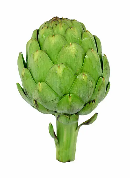 "A whole artichoke, isolated on white. Shallow depth of field."