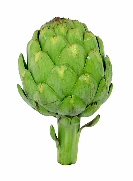 alcachofra - artichoke vegetable isolated cut out - fotografias e filmes do acervo