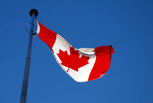 istock Canadian Flag in the Wind 172665712