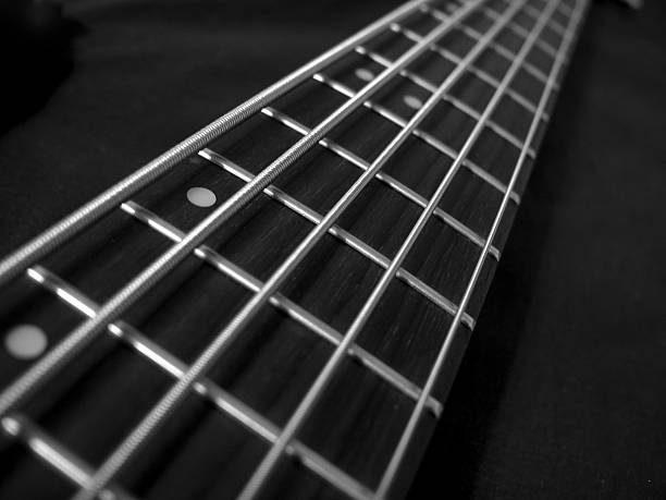 istock Bass Fretboard 2 172665862