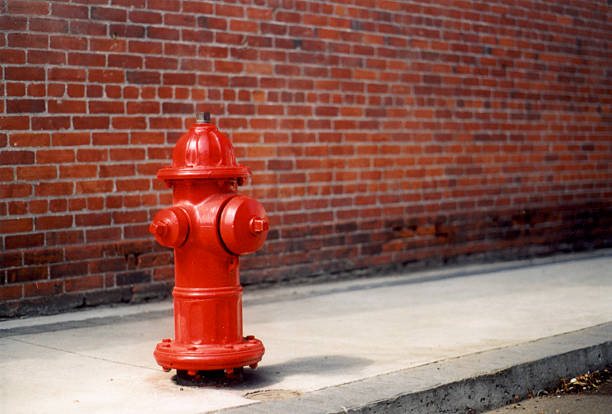 Dog's Eye View A nice looking bright red fire hydrant. fire hydrant stock pictures, royalty-free photos & images