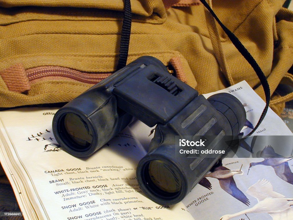 binoculars resting on birdbook and backpack Bird Stock Photo