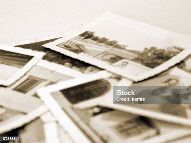 Fotografias Vintage - Fotografias de stock e mais imagens de Árvore Genealógica - Árvore Genealógica, Fotografia - Arte e Artesanato, Fotografia - Imagem