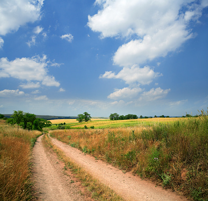 tractor tracks through summer fields