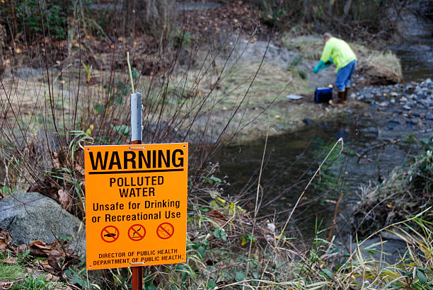 scientist sampling pollution levels in creek - toxic water bildbanksfoton och bilder