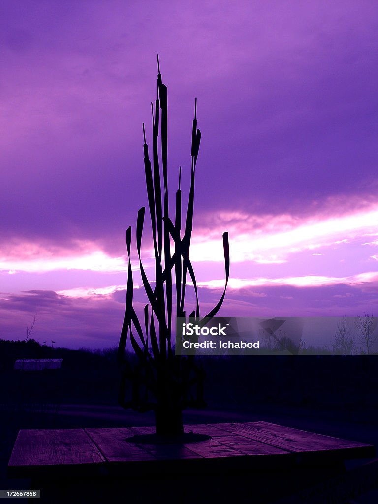 Scirpe sous ciel - Photo de Abstrait libre de droits