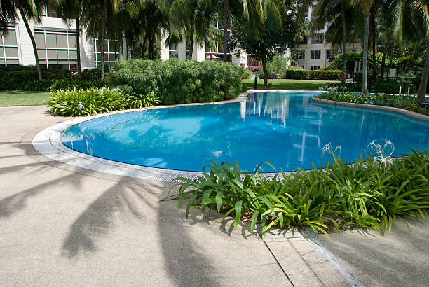 evasione dalla realtà - luxury hotel palm tree lush foliage asia foto e immagini stock