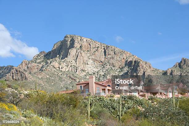 Deserto Vivente - Fotografie stock e altre immagini di Tucson - Tucson, Edificio residenziale, Adobe