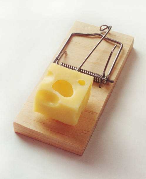 mousetrap with cheese on white background