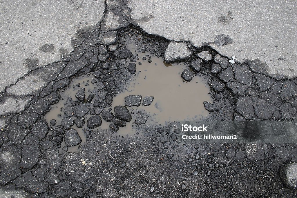 Bache - Foto de stock de Bache libre de derechos