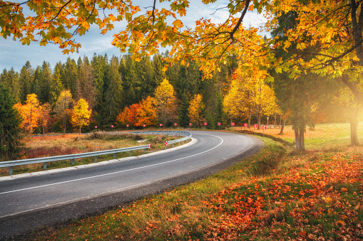 Beautiful road in autumn forest. Empty mountain roadway, trees with red and orange foliage, grass in Ukraine. Colorful landscape with road through the woods in fall. Travel. Road trip. Transportation