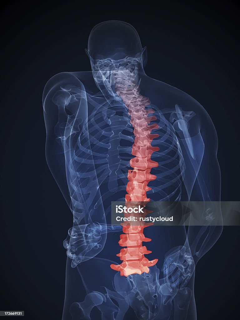 휴머니즘 척추 일러스트 - 로열티 프리 X-레이 스톡 사진