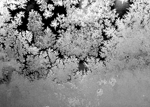 Frost on window in black and white.