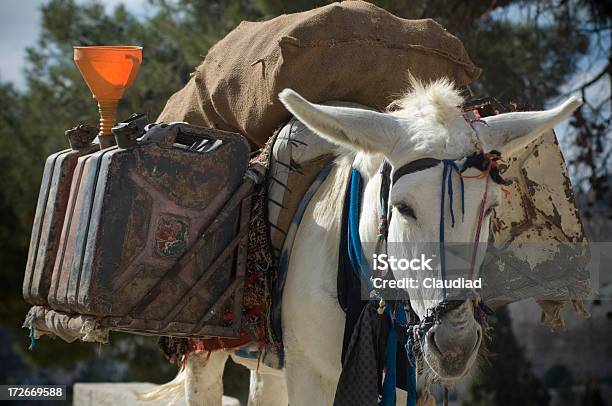 Donkey With Canisters Stock Photo - Download Image Now - Donkey, Carrying, Loading