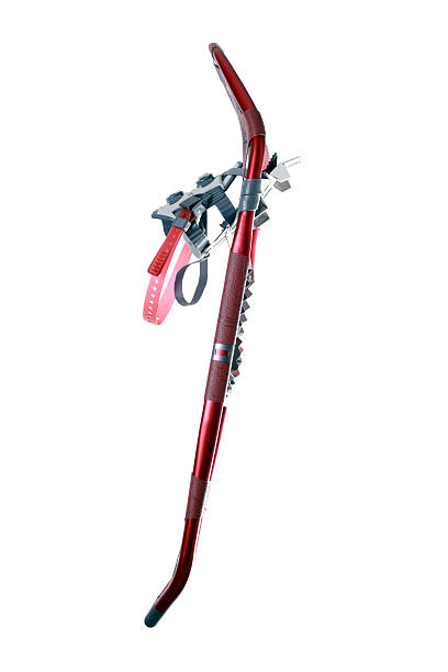 istock Red Snowshoe Isolated on White Background 172669599