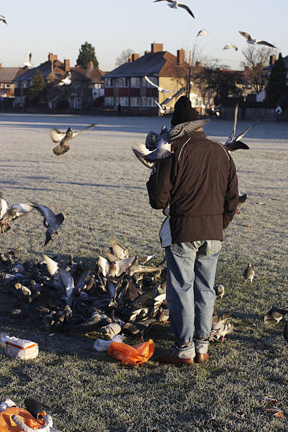 istock Mitcham man feeds the birds 172669697