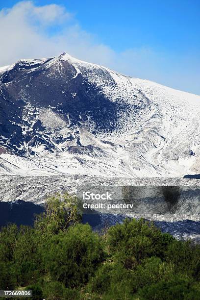 Wulkan Etna - zdjęcia stockowe i więcej obrazów Bez ludzi - Bez ludzi, Drzewo, Etna