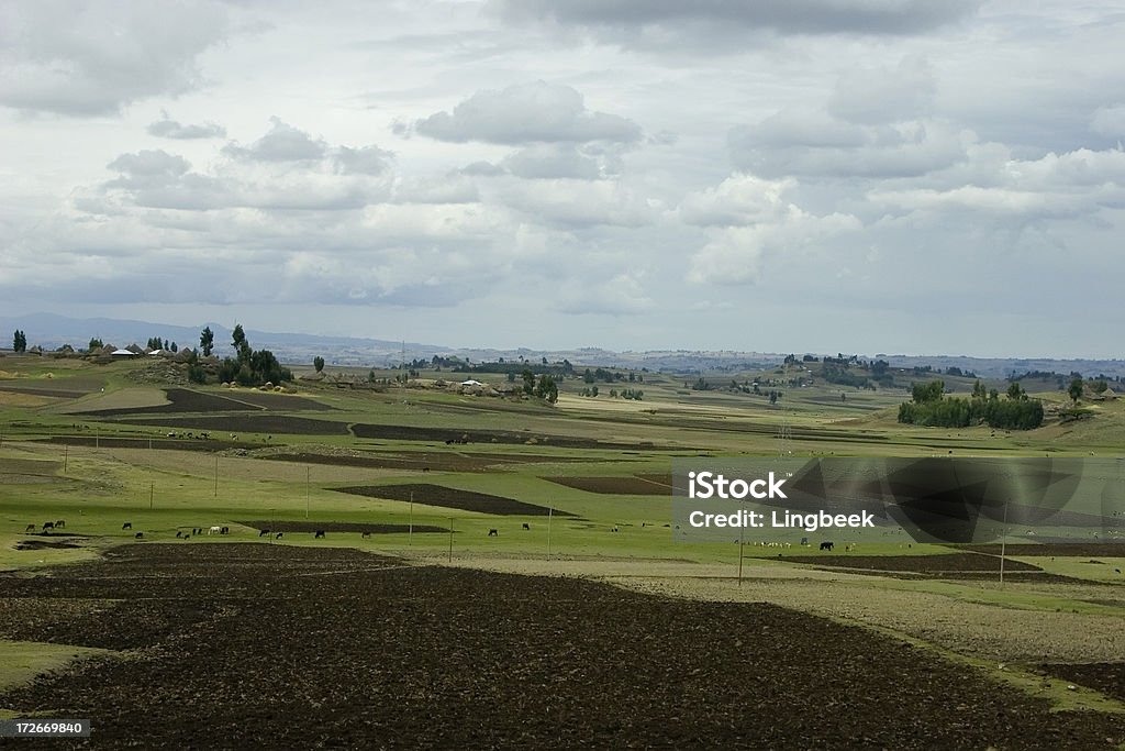 Ethiopian landscape Ethiopian agricultural landscape. Africa Stock Photo