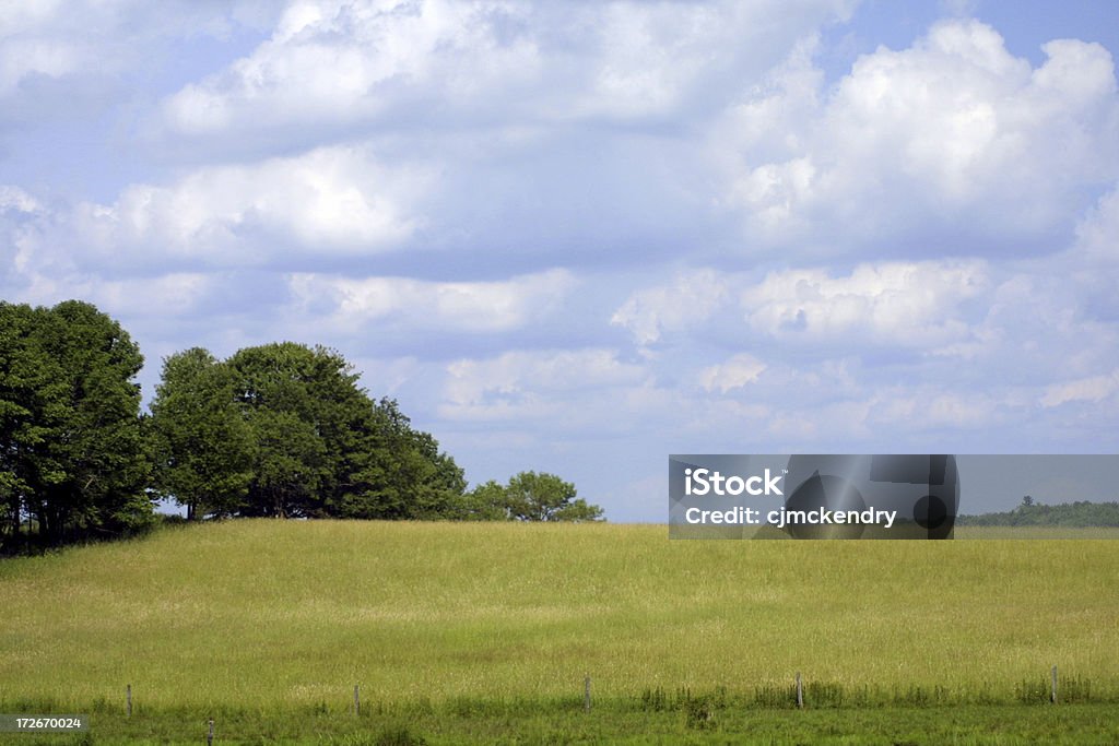 Abierto de paisaje - Foto de stock de Agricultura libre de derechos