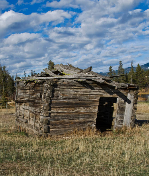 Old Cabin Old miner's log cabin in Idaho. Early pioneer hut or homestead. miners cabin stock pictures, royalty-free photos & images