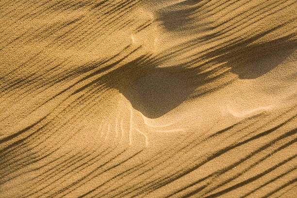 istock Abstract of Sand Dune 172670773