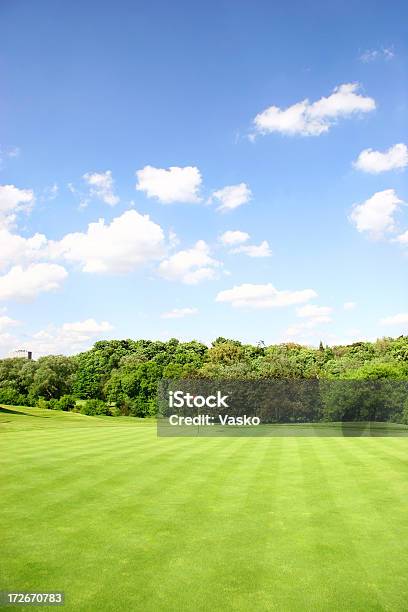 Golfplatz On The Green Stockfoto und mehr Bilder von Ausschluss - Ausschluss, Baum, Blau