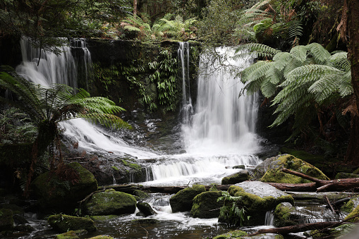Beautiful pristine waterfalls in the forest. The stunning short walk to Horseshoe Falls in Mt Field National Park near Hobart in the Derwent Valley.