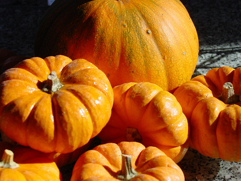 pile of pumpkins. 