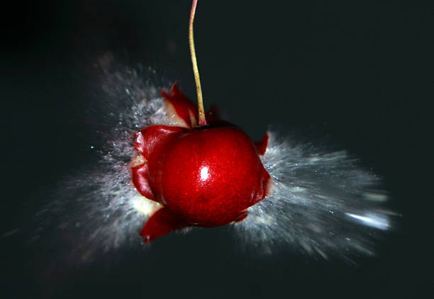 istock freeze shot of cherry 172671028