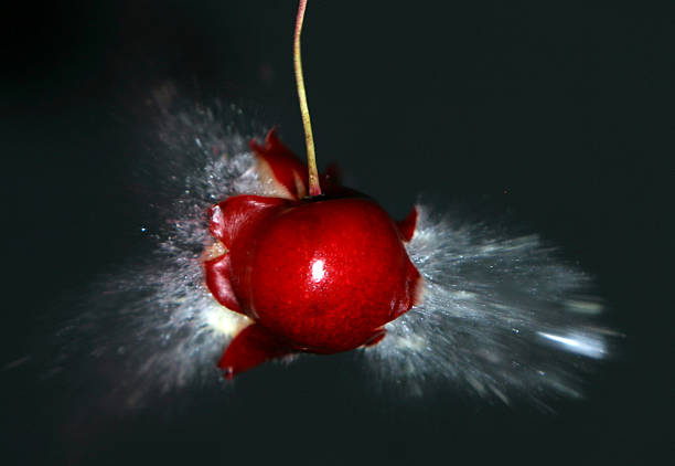 freeze shot of cherry stock photo