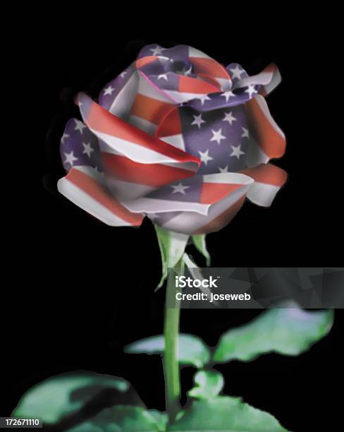 Rose Ameryki - zdjęcia stockowe i więcej obrazów Bez ludzi - Bez ludzi, Bukiet, Flaga