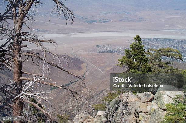 Вид На Palm Springs — стоковые фотографии и другие картинки San Jacinto Wildlife Area - San Jacinto Wildlife Area, Без людей, Верхний ракурс