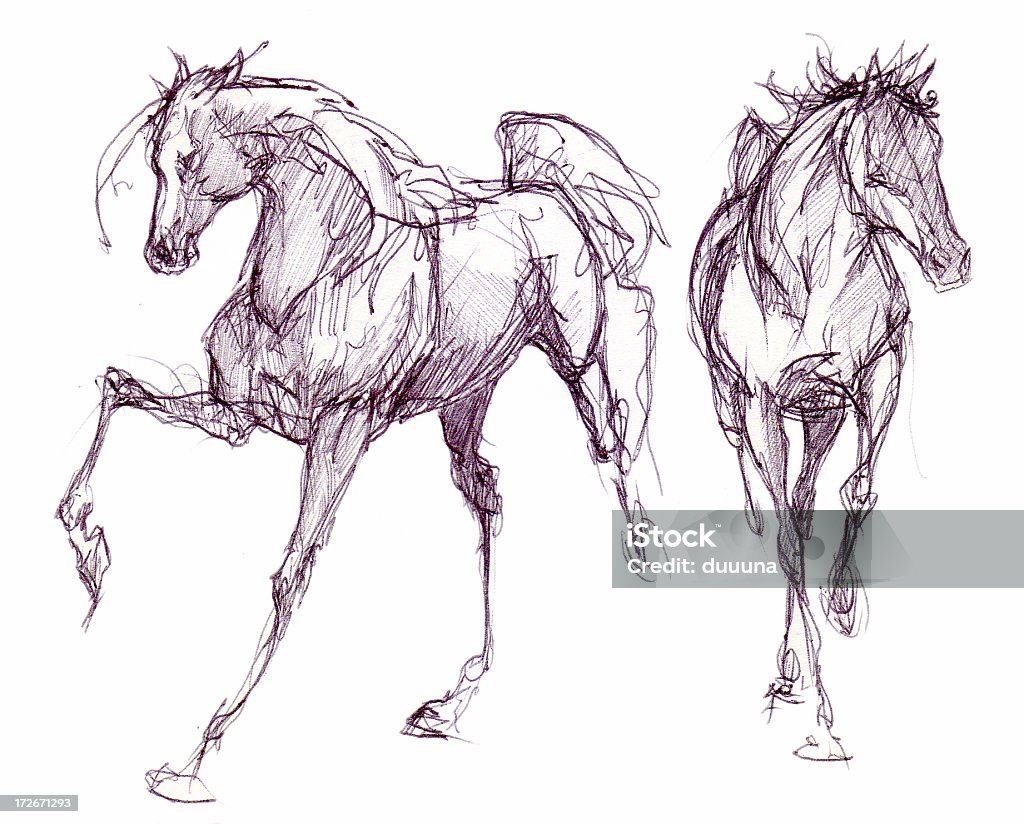 Dois cavalos desenhadas em tinta - Ilustração de Cavalo - Família do cavalo royalty-free