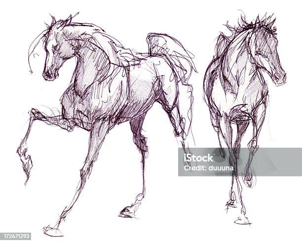 Vetores de Dois Cavalos Desenhadas Em Tinta e mais imagens de Cavalo - Família do cavalo - Cavalo - Família do cavalo, Esboço, Desenhar - Atividade