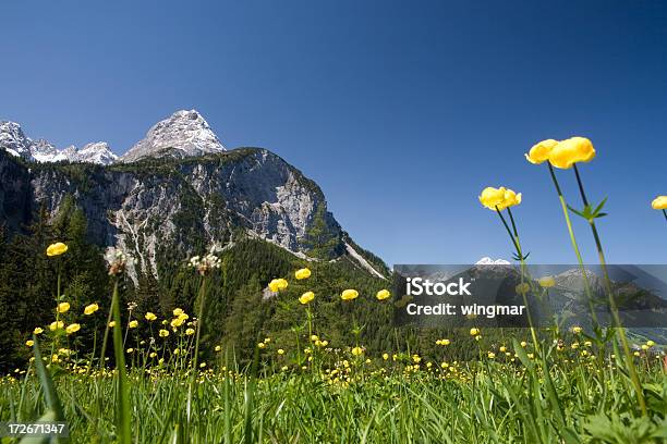 Foto de De Verão Meadow e mais fotos de stock de Abandonado - Abandonado, Alpes europeus, Amarelo