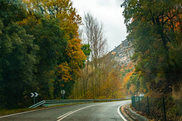 istock Road surrounded by autumn vegetation 1726714495