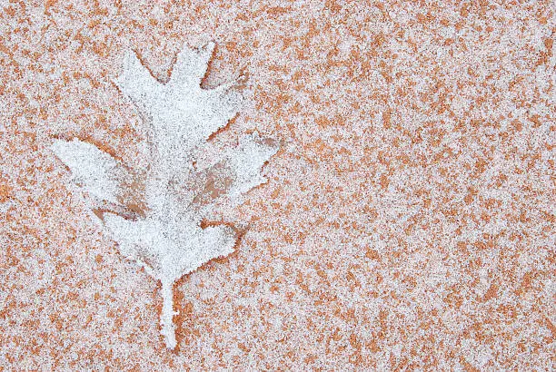 Leaf lying on tennis-court with old hoar-frost